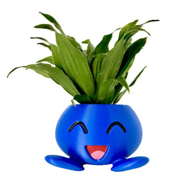 Oddissh Planter Flower Pot