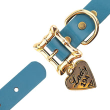 Load image into Gallery viewer, Disney Lady and The Tramp, Movie Replica Dog Collar