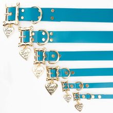 Load image into Gallery viewer, Disney Lady and The Tramp, Movie Replica Dog Collar