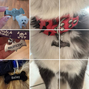 Bat ID Tag