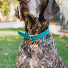 Load image into Gallery viewer, Disney Lady and The Tramp, Movie Replica Dog Collar