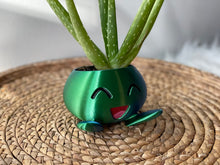 Load image into Gallery viewer, Shiny Oddish Planter Flower Pot