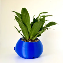 Load image into Gallery viewer, Oddissh Planter Flower Pot