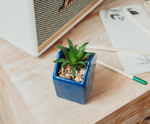 Atlantis: The Lost Empire Stone Face Ceramic Mini Planter