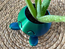 Load image into Gallery viewer, Shiny Oddish Planter Flower Pot