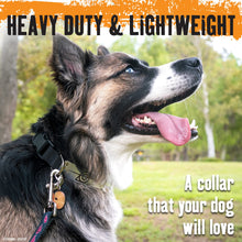 Load image into Gallery viewer, Hidden Leaf Rogue Ninja Dog Collar